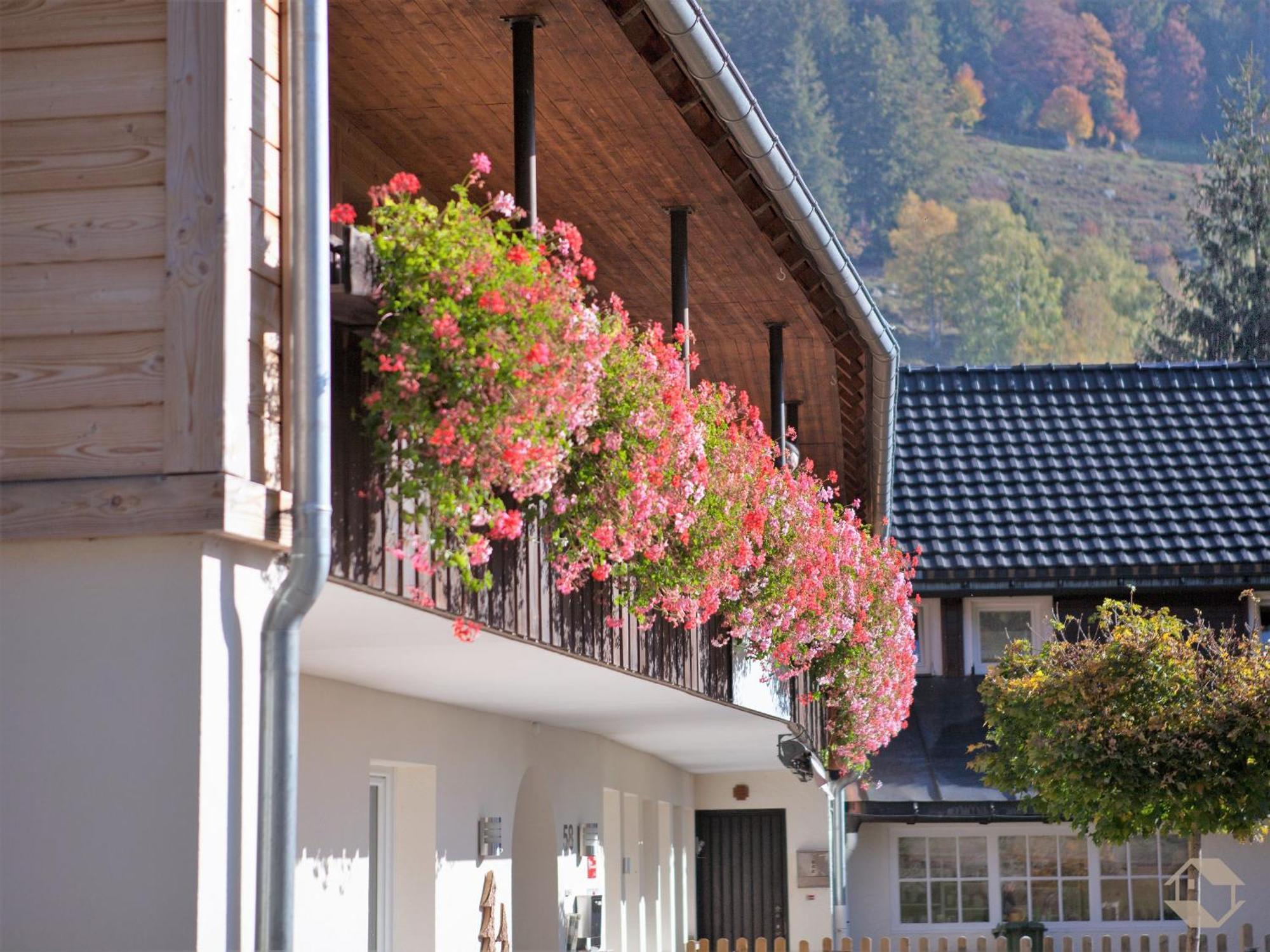 Albhof Am Wasserfall St. Blasien Exterior photo